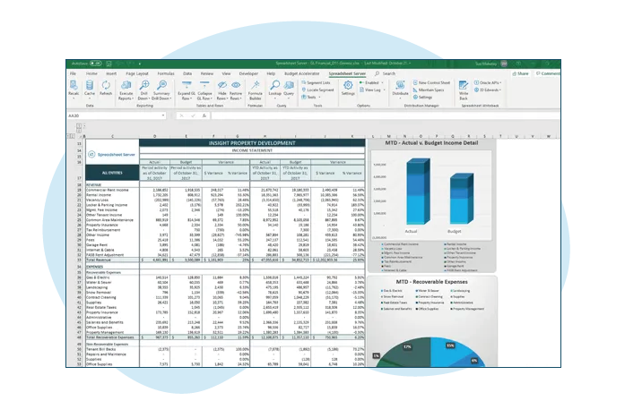 insightsoftware report screenshot